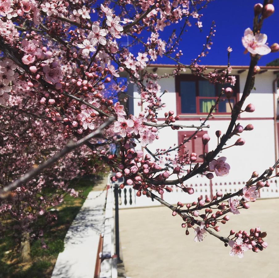 Il Profumo Della Natura B&B Oriolo Romano Luaran gambar
